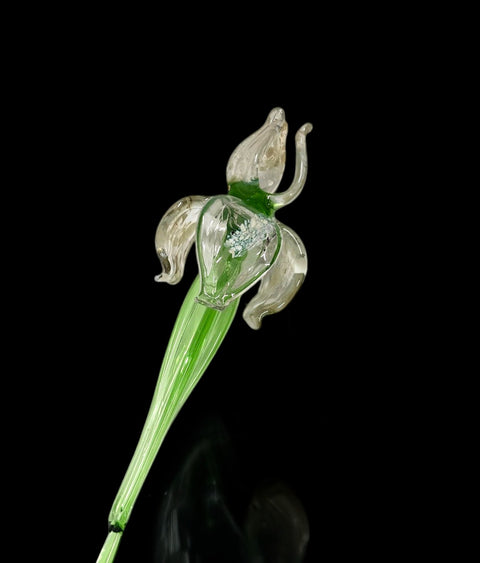 Clear Glass Iris - Handcrafted Long Stem Flower